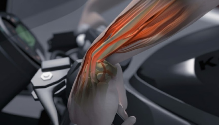 legal animation services